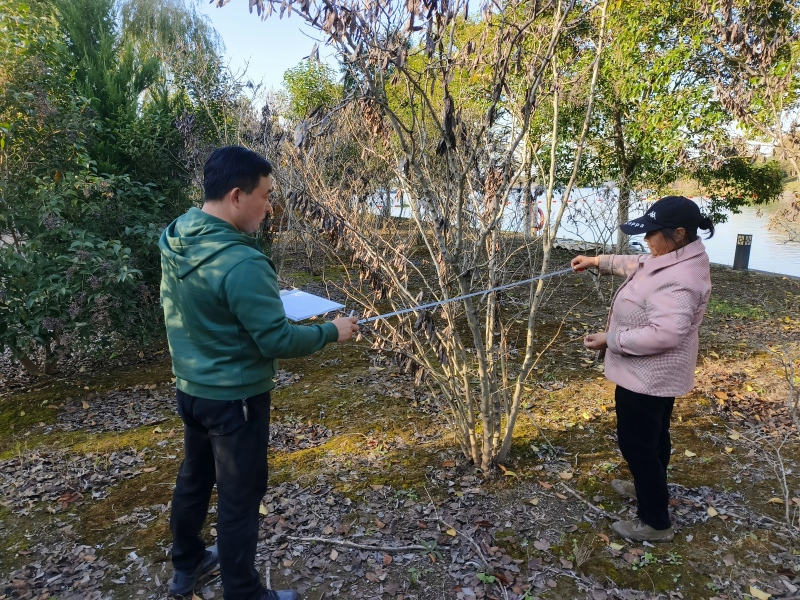 菲律宾亚星登录