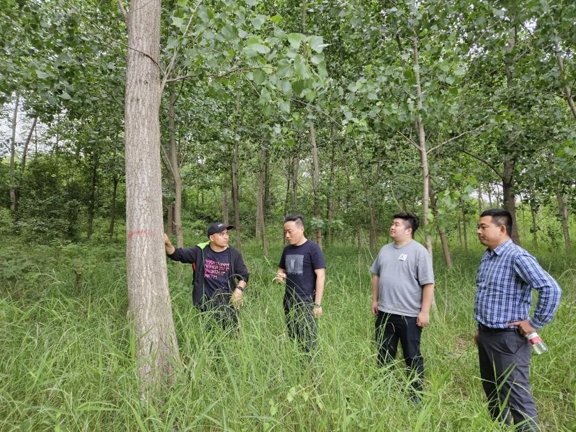 菲律宾亚星登录